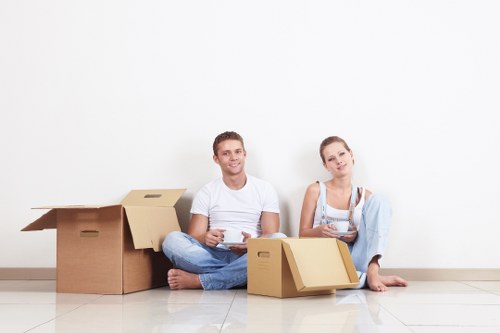 Local moving support with a van in Ickenham for household items