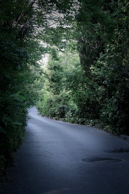A narrow residential street surrounded by dense green trees and foliage, with a paved road that curves gently to the left. The scene is illuminated by natural daylight filtering through the leaves, creating a shaded environment. The street appears quiet and free of vehicles or pedestrians, with no visible buildings or driveway access. This setting exemplifies a typical suburban or village area suitable for house removals involving narrow access, as handled by Man and Van Ickenham. The image emphasizes the limited width of the pathway, which can pose logistical considerations during home relocation and furniture transport services provided by the company, especially when navigating through tight spaces or densely wooded areas.