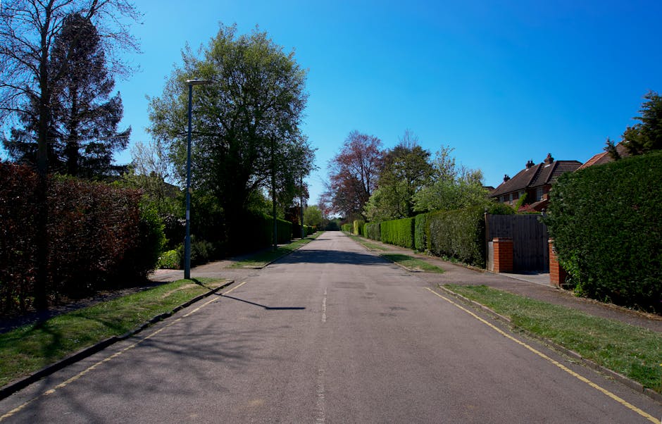 A quiet residential street in Ickenham during daytime, featuring a paved road flanked by well-maintained front gardens with various trees and hedges. The street is lined with traditional brick and tile houses, with some houses partially visible behind green fences and gates. The pavement on each side is clear, and a single lamppost is positioned close to the edge of the road on the left side. Bright sunlight casts shadows of the trees and the lamppost onto the asphalt, which has faint markings indicating parking restrictions. The scene presents an ideal environment for home relocation or furniture transport, with ample space for loading and unloading moving boxes, furniture, and packing materials. Man and Van Ickenham occasionally conducts furniture transport and moving services within such neighbourhoods, where careful planning of loading vehicles is essential due to restricted street permits and parking limitations. The overall serene ambiance supports professional removals operating in residential areas with natural surroundings.